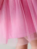 Arrival Autumn Girls Cartoon Rabbit Logo Crew Neck Long Sleeves Pink Tulle Patchwork Princess Dress-2